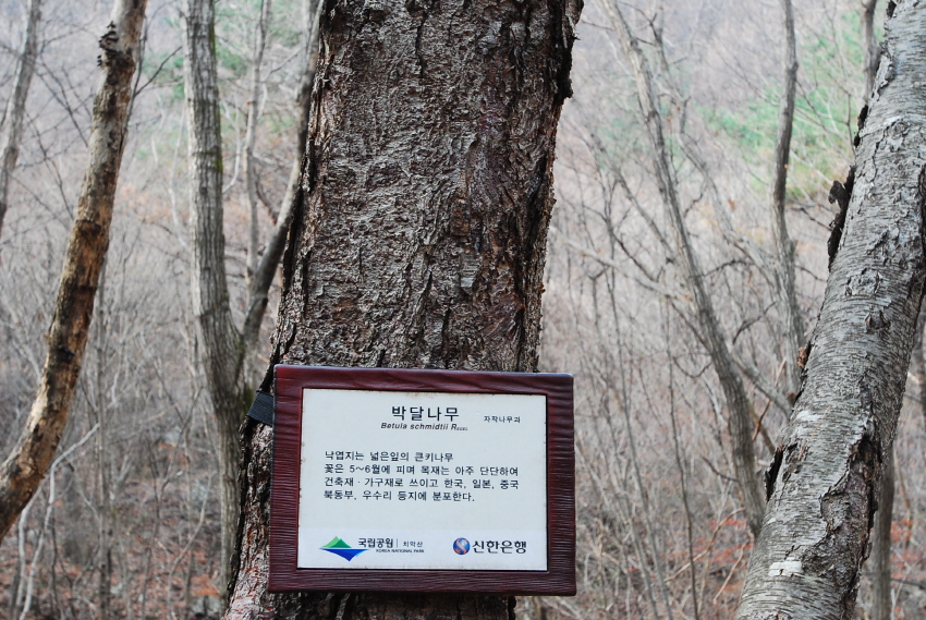 크기변환_DSC_0163.JPG