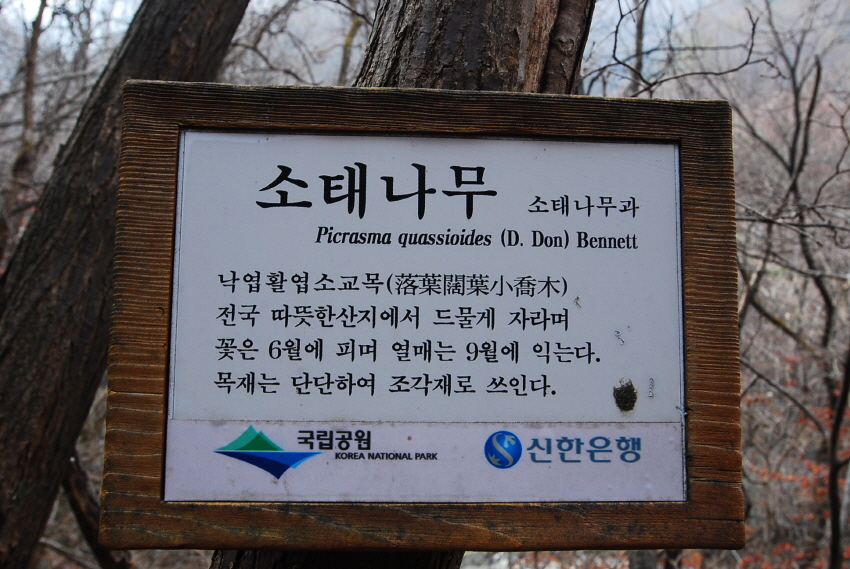 크기변환_DSC_0169.JPG