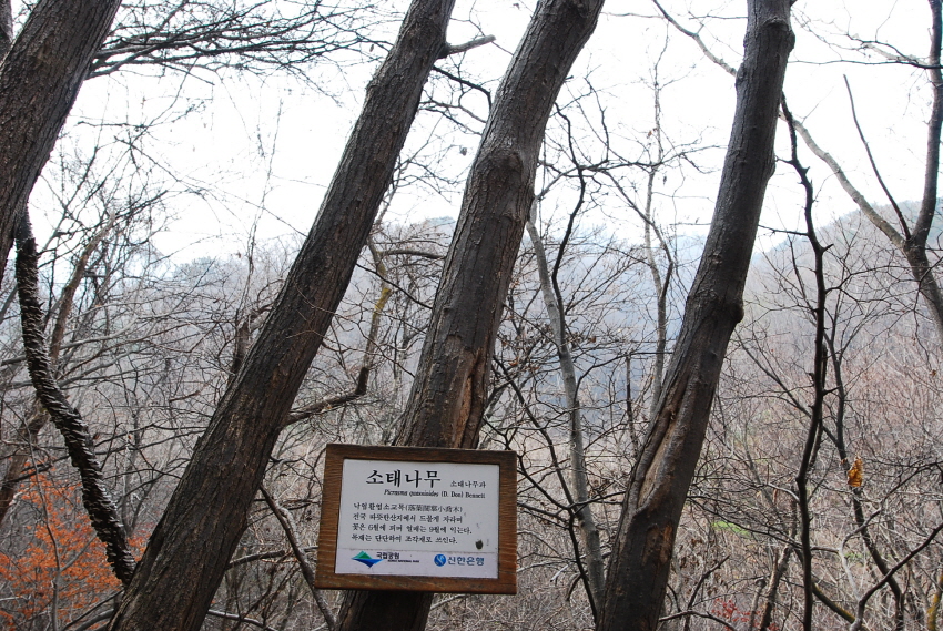 크기변환_DSC_0171.JPG