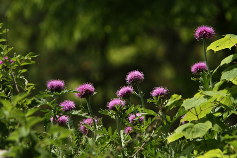 2010-05-14 018.jpg