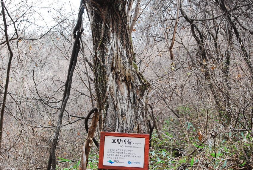 크기변환_DSC_0183.JPG