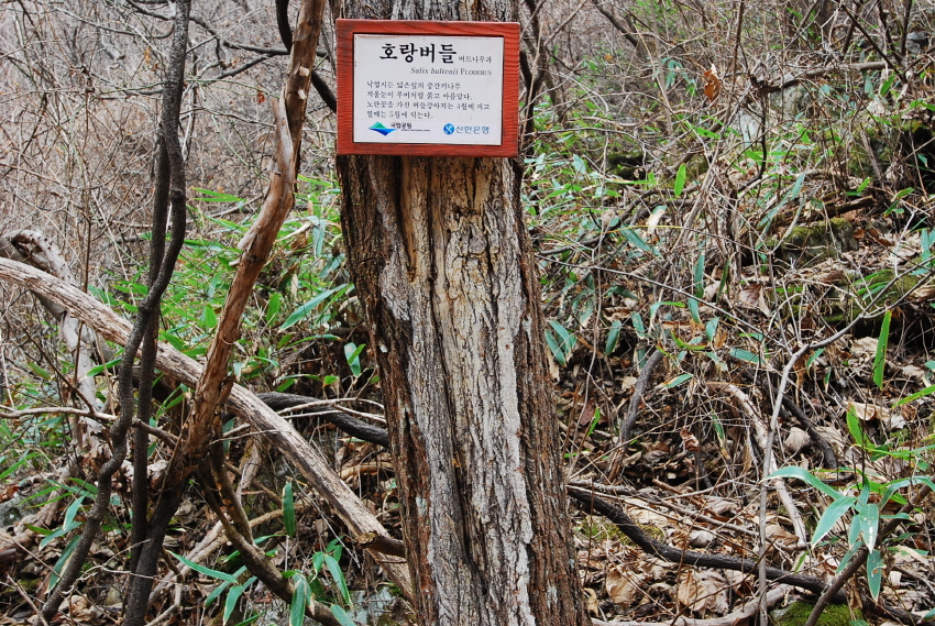 크기변환_DSC_0182.JPG