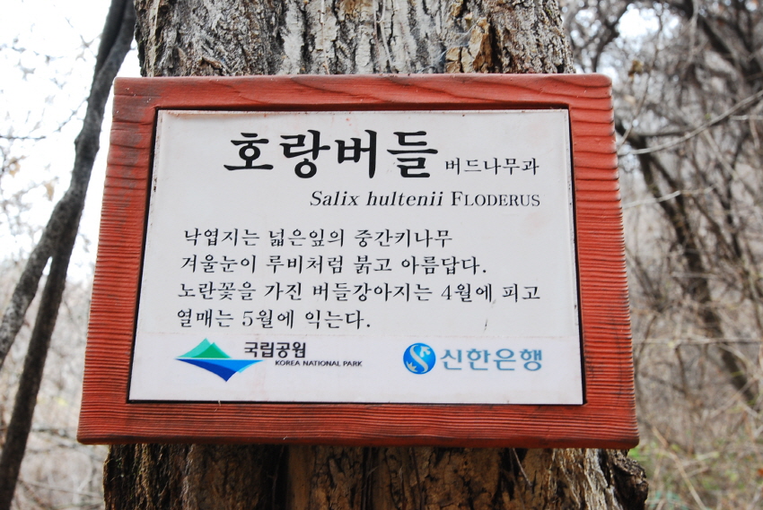 크기변환_DSC_0181.JPG