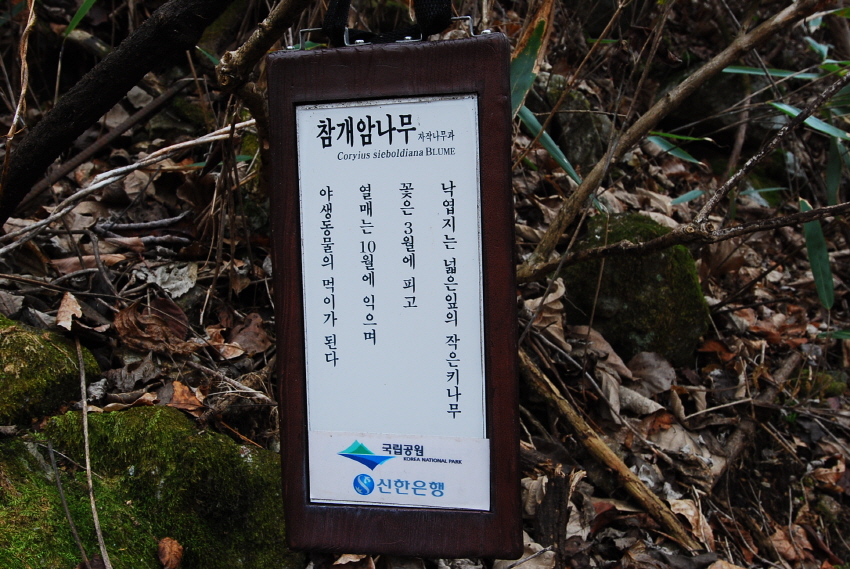 크기변환_DSC_0178.JPG