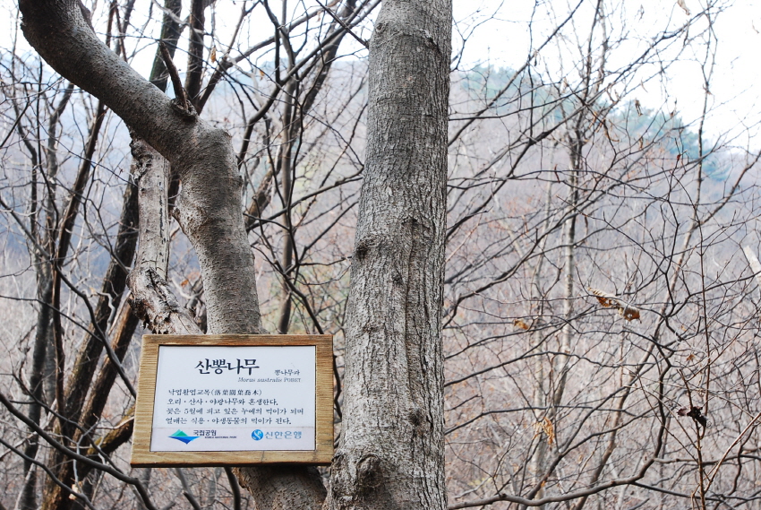 크기변환_DSC_0177.JPG