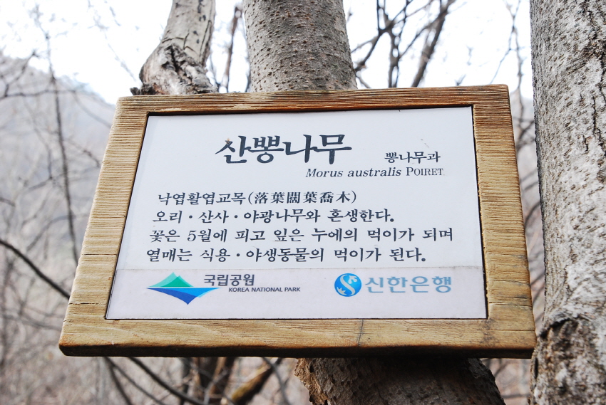 크기변환_DSC_0175.JPG