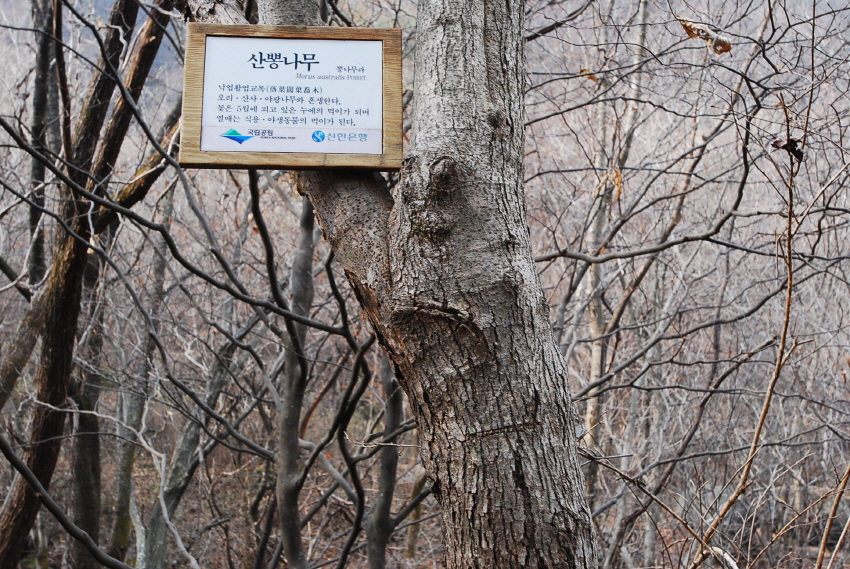 크기변환_DSC_0176.JPG