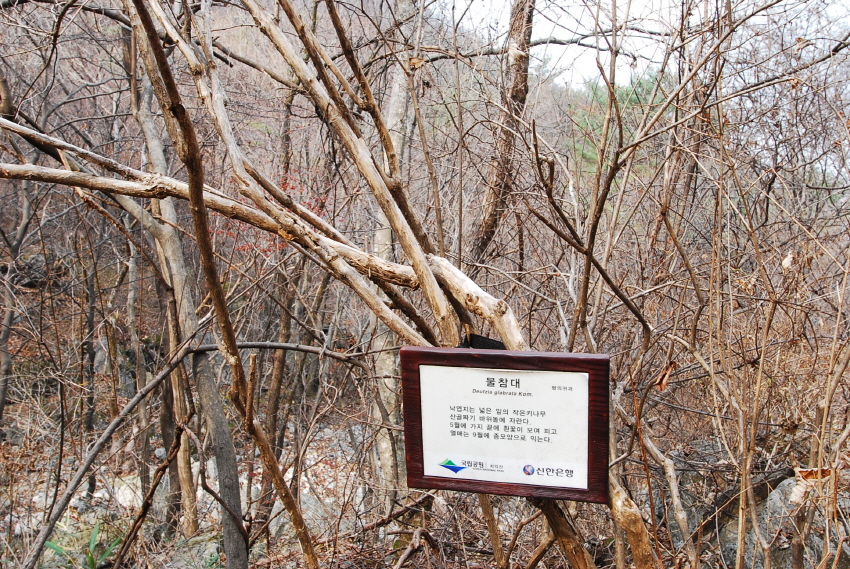 크기변환_DSC_0174.JPG