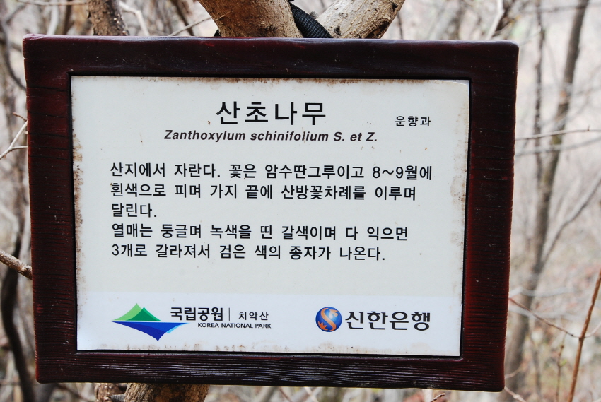 크기변환_DSC_0184.JPG