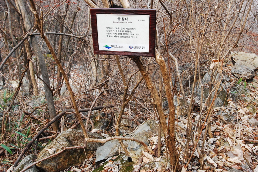크기변환_DSC_0173.JPG