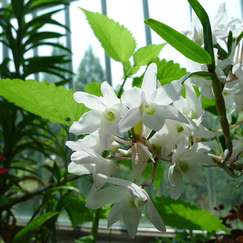 20130515-L1060976.jpg