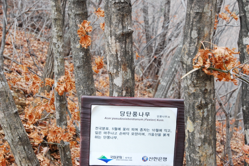 크기변환_DSC_0206.JPG