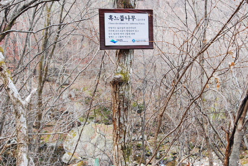 크기변환_DSC_0189.JPG