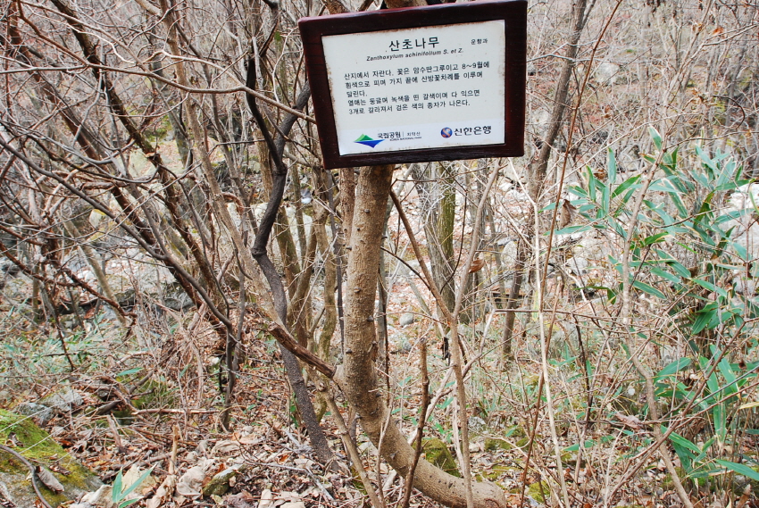 크기변환_DSC_0185.JPG