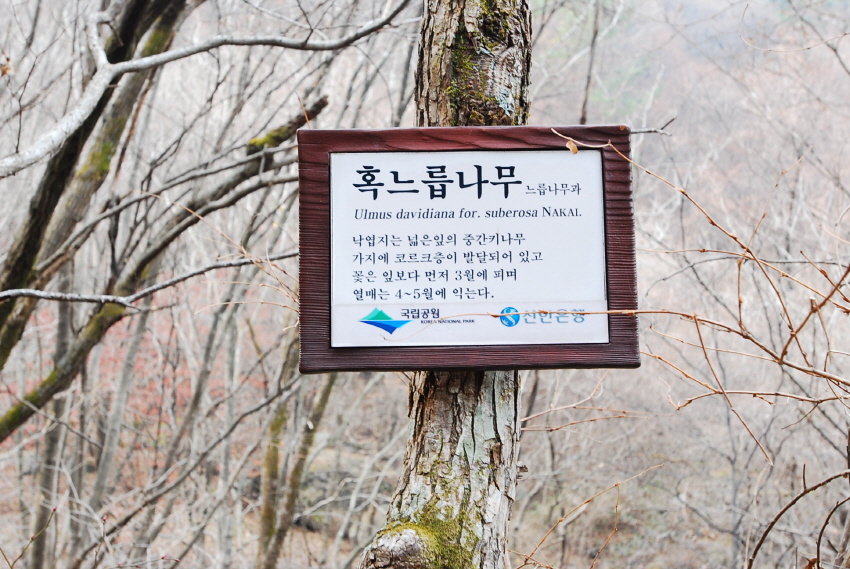 크기변환_DSC_0187.JPG