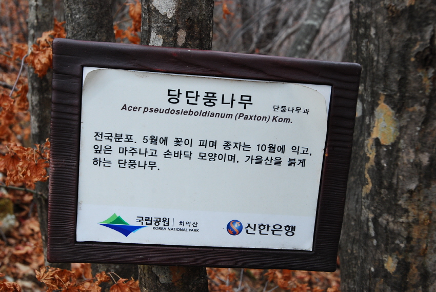 크기변환_DSC_0204.JPG