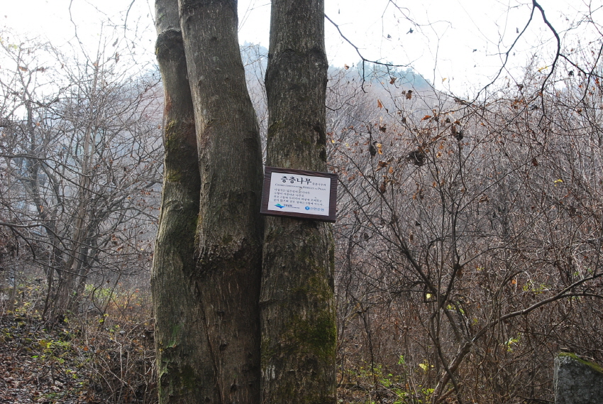 크기변환_DSC_0194.JPG