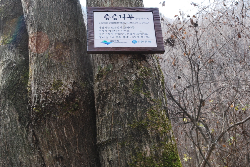 크기변환_DSC_0198.JPG