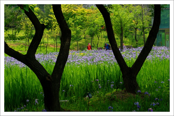 꾸미기_DSC_0087.JPG