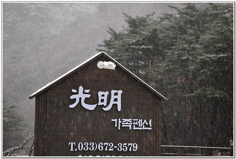 DSC_9993_0052.jpg