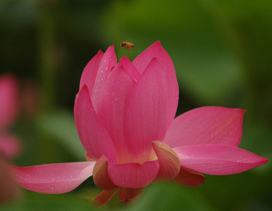 바람처럼3.jpg