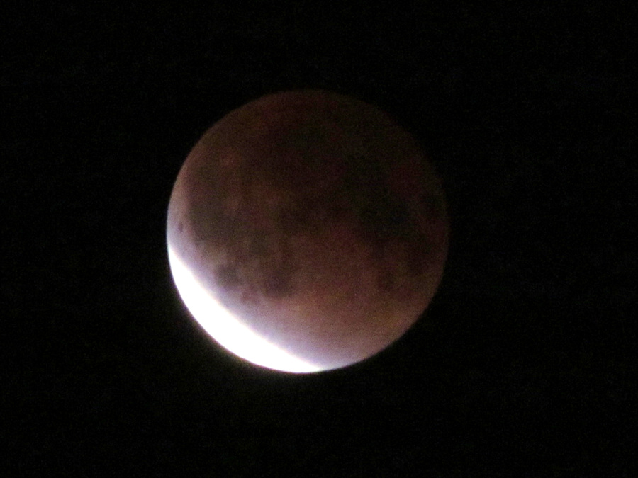 IMG_0004.jpg