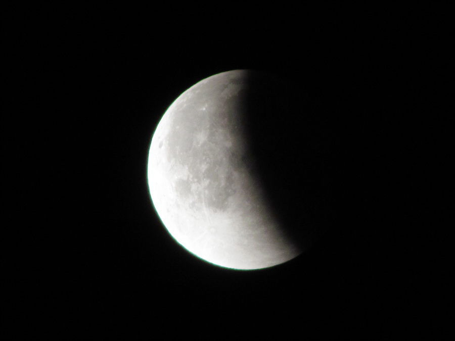 IMG_0073.jpg