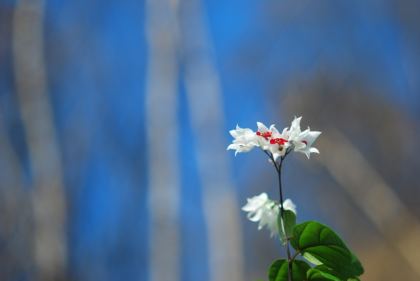 크기변환_DSC_0427.JPG