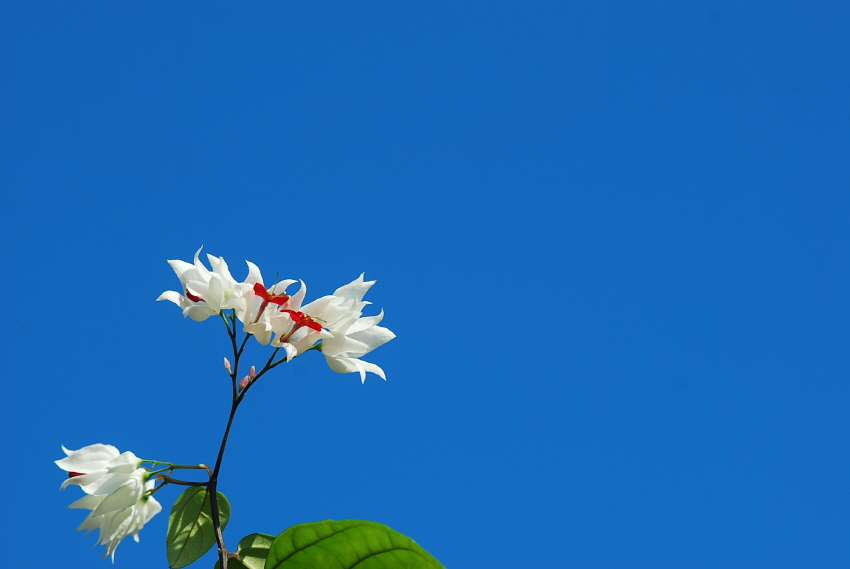 크기변환_DSC_0460.JPG
