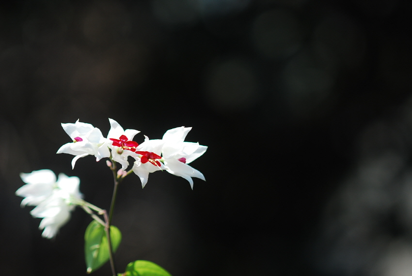 크기변환_DSC_0371.JPG