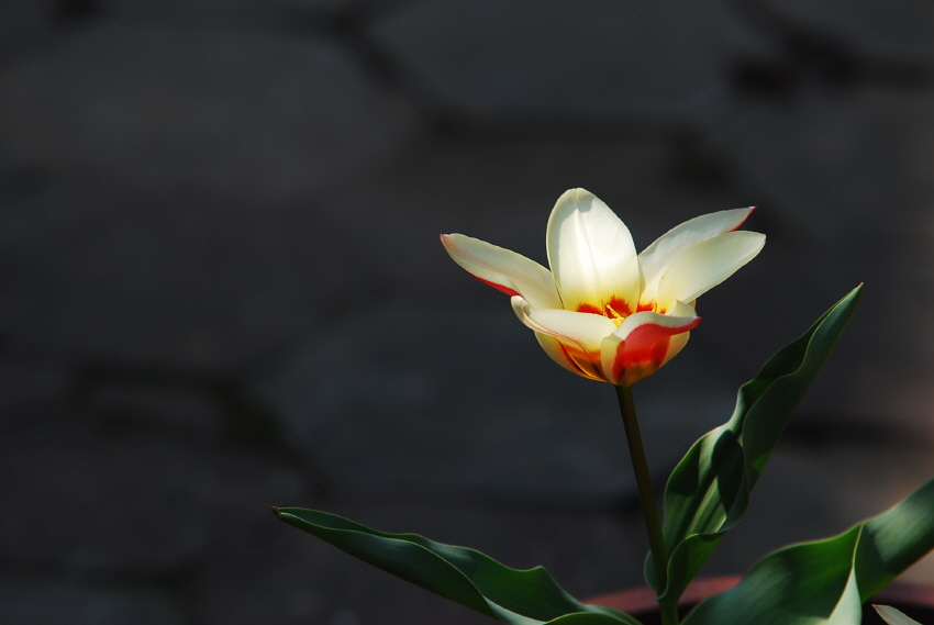 크기변환_DSC_0030.JPG