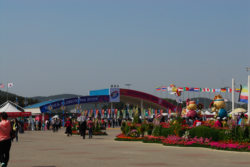 DSC_7716-1.jpg