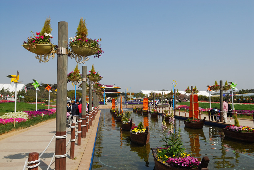 DSC_7710-1.jpg