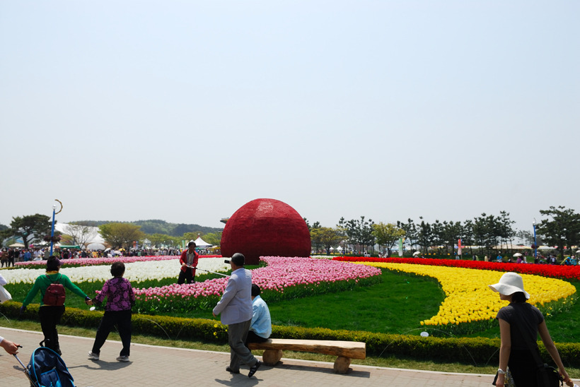 DSC_7638-1.jpg