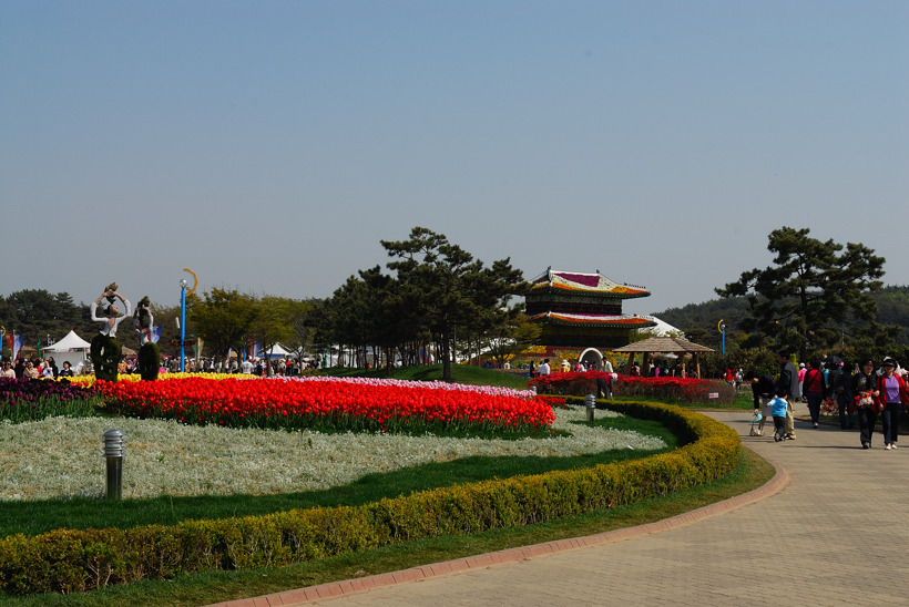 DSC_7717-1.jpg