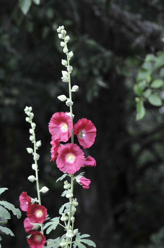DSC_3260.jpg