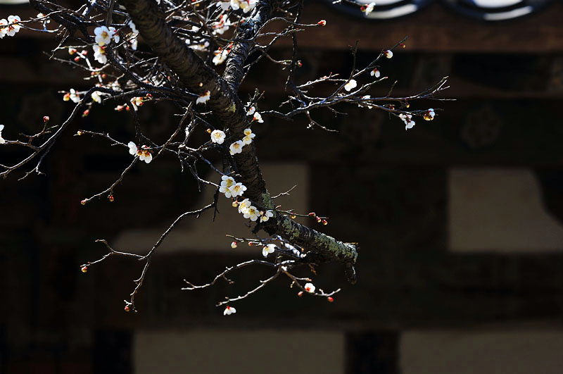 20120408_0212-1.jpg