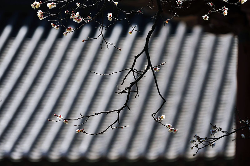 20120408_0233-2.jpg