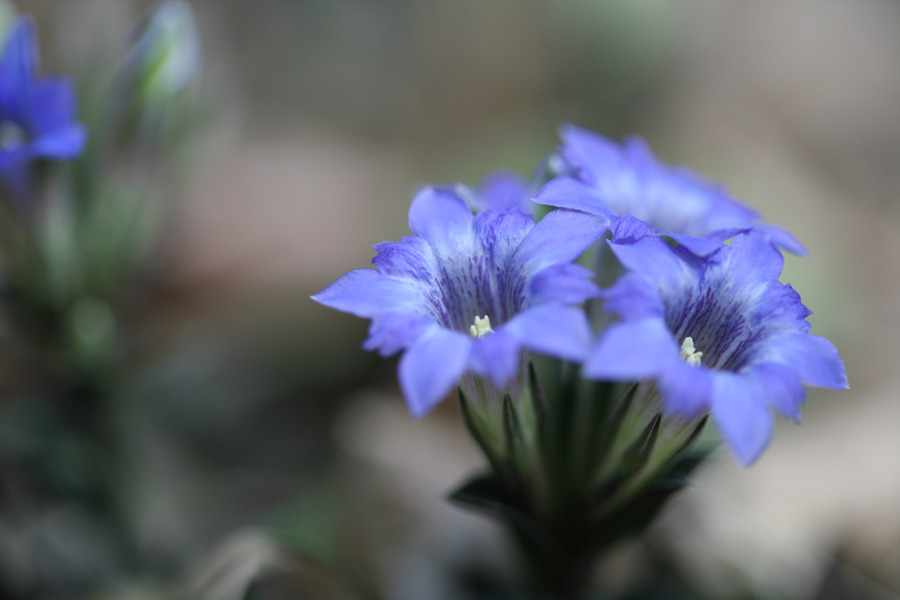 20090405 1011.jpg