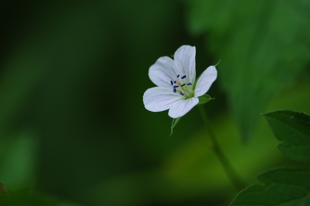 DSC_9383.jpg