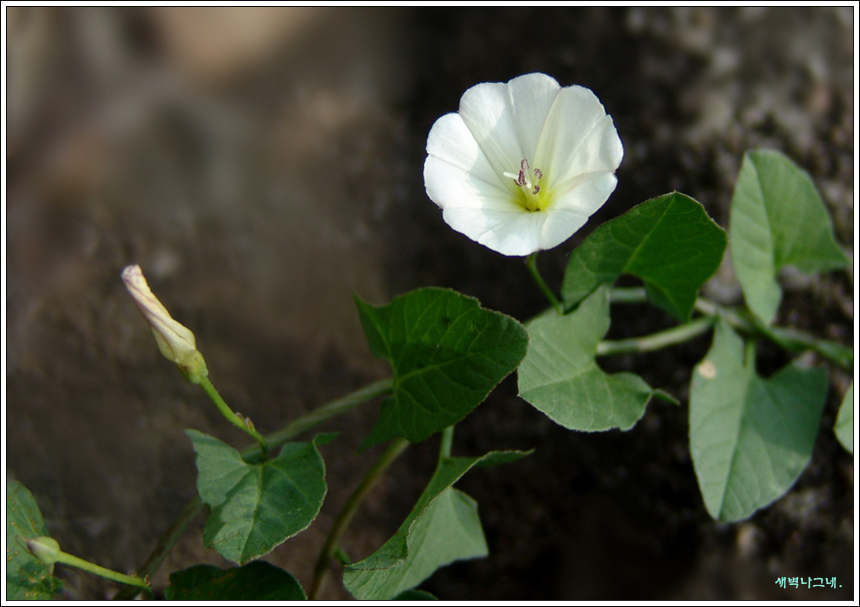 DSC03845ㅈㅈ.jpg