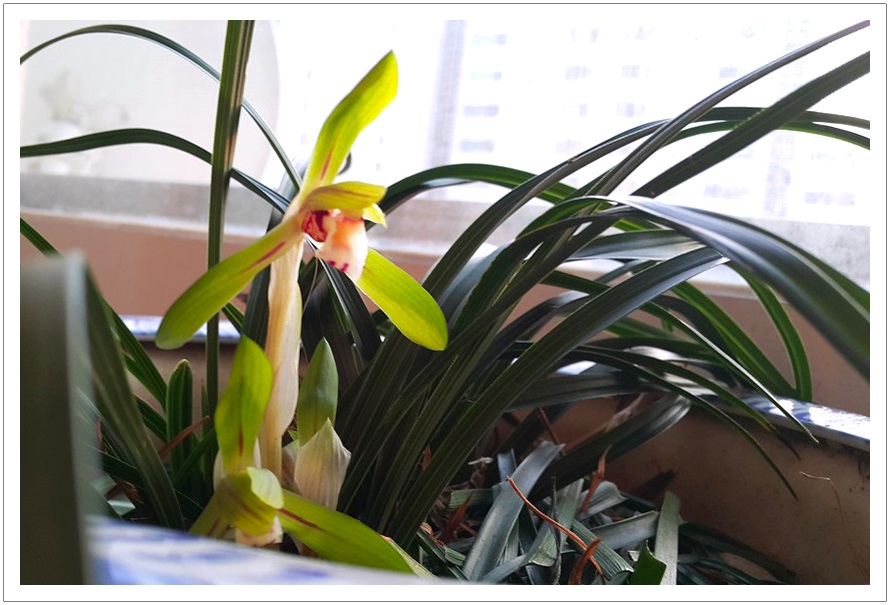 20150210_172253[1].jpg