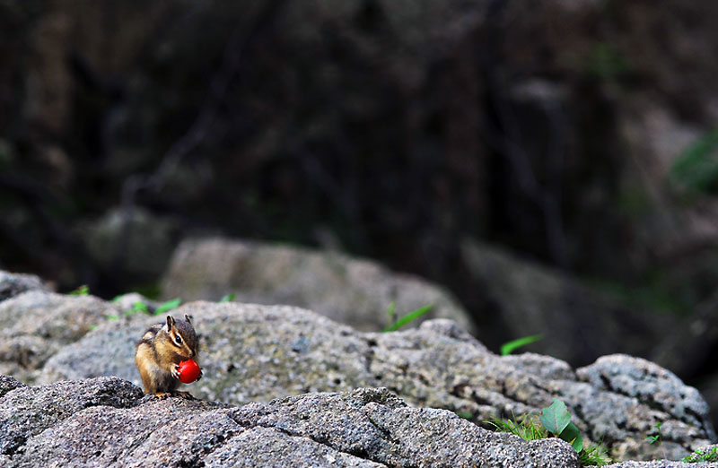 20120610_0002-1.jpg