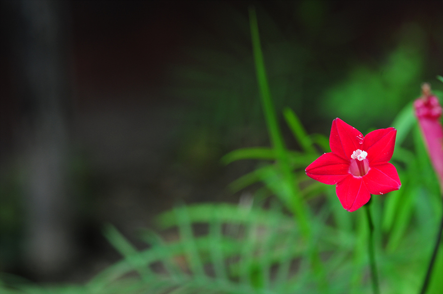 DSC_3436.jpg