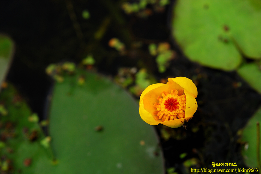 DSC_3285.jpg
