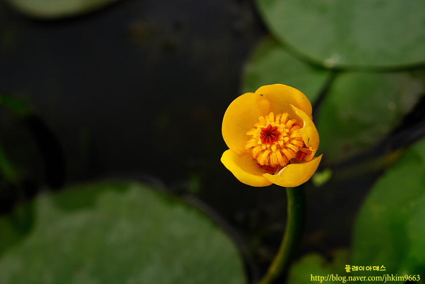 DSC_3270.jpg