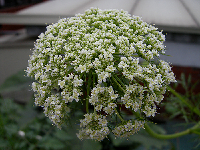 사진 009.jpg