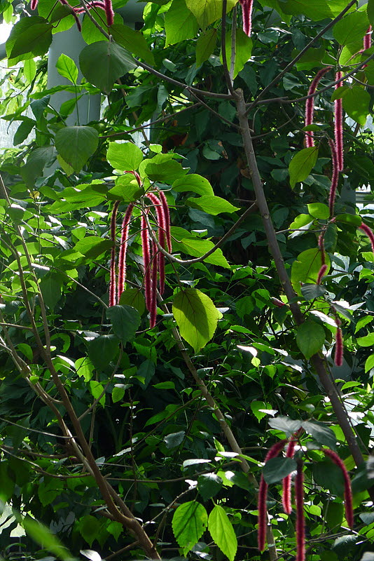 20120911-L1030406.jpg