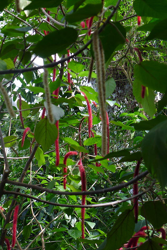 20120911-L1030407.jpg