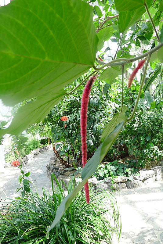 20120911-L1030405.jpg